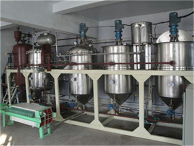 india top quality edible niger seed oil refining line plant